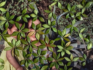 Snap your way to €10,000 with the LOBA Women Grant